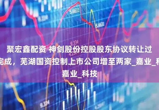 聚宏鑫配资 神剑股份控股股东协议转让过户完成，芜湖国资控制上市公司增至两家_嘉业_科技